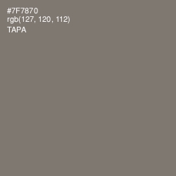 #7F7870 - Tapa Color Image