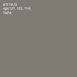 #7F7A72 - Tapa Color Image