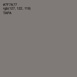 #7F7A77 - Tapa Color Image