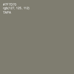 #7F7D70 - Tapa Color Image