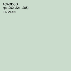 #CADDCD - Tasman Color Image