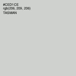 #CED1CE - Tasman Color Image