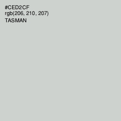 #CED2CF - Tasman Color Image