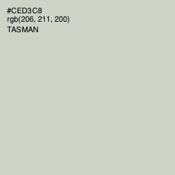 #CED3C8 - Tasman Color Image