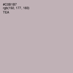 #C0B1B7 - Tea Color Image