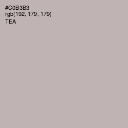 #C0B3B3 - Tea Color Image