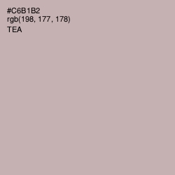 #C6B1B2 - Tea Color Image