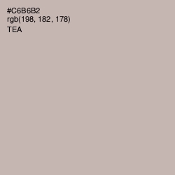 #C6B6B2 - Tea Color Image