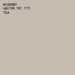 #C6BBB1 - Tea Color Image