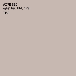 #C7B8B2 - Tea Color Image