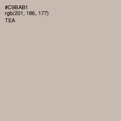 #C9BAB1 - Tea Color Image