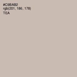 #C9BAB2 - Tea Color Image