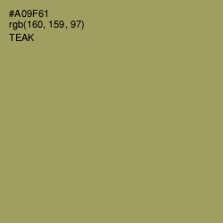 #A09F61 - Teak Color Image