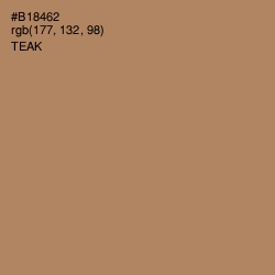 #B18462 - Teak Color Image