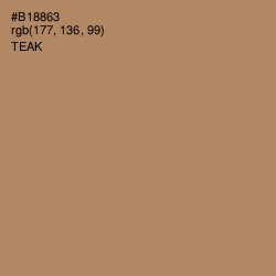 #B18863 - Teak Color Image
