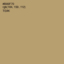 #B89F70 - Teak Color Image