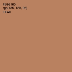#B98160 - Teak Color Image