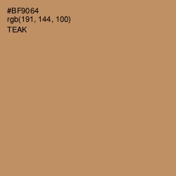 #BF9064 - Teak Color Image