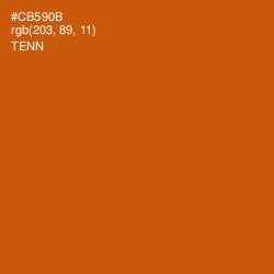 #CB590B - Tenn Color Image