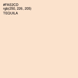 #FAE2CD - Tequila Color Image