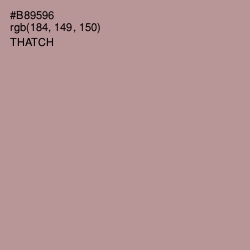 #B89596 - Thatch Color Image
