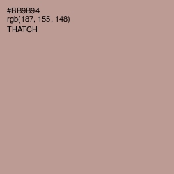 #BB9B94 - Thatch Color Image