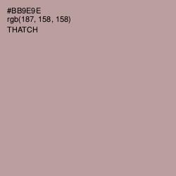 #BB9E9E - Thatch Color Image