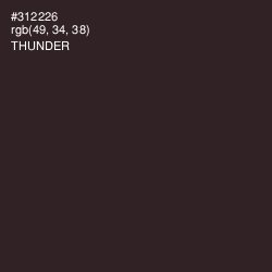 #312226 - Thunder Color Image