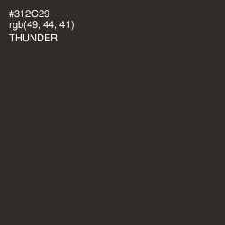 #312C29 - Thunder Color Image