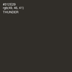 #312E29 - Thunder Color Image