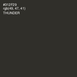 #312F29 - Thunder Color Image