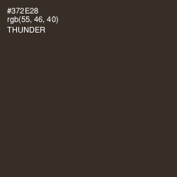 #372E28 - Thunder Color Image