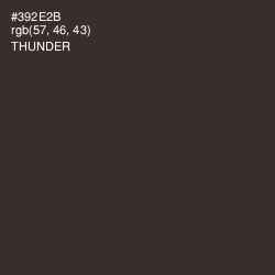 #392E2B - Thunder Color Image