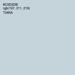 #C5D3DB - Tiara Color Image