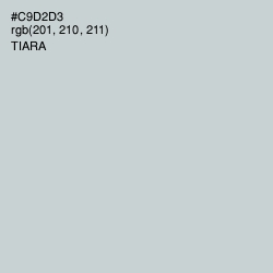 #C9D2D3 - Tiara Color Image