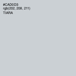 #CAD0D3 - Tiara Color Image