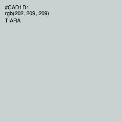#CAD1D1 - Tiara Color Image