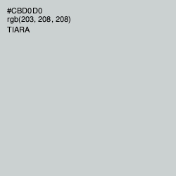 #CBD0D0 - Tiara Color Image