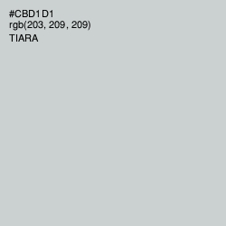 #CBD1D1 - Tiara Color Image