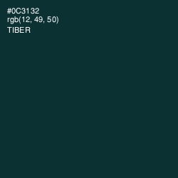 #0C3132 - Tiber Color Image