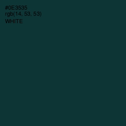 #0E3535 - Tiber Color Image