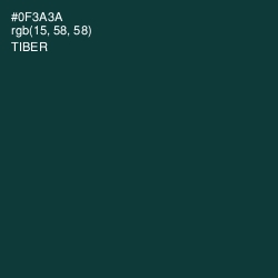 #0F3A3A - Tiber Color Image