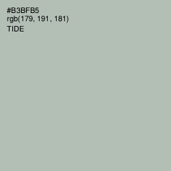 #B3BFB5 - Tide Color Image
