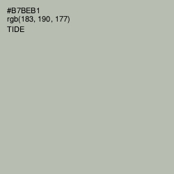 #B7BEB1 - Tide Color Image