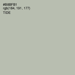 #B8BFB1 - Tide Color Image