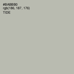 #BABBB0 - Tide Color Image