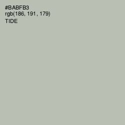#BABFB3 - Tide Color Image