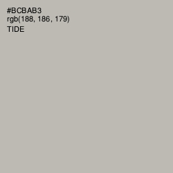 #BCBAB3 - Tide Color Image