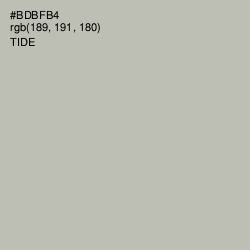 #BDBFB4 - Tide Color Image