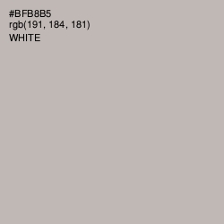 #BFB8B5 - Tide Color Image